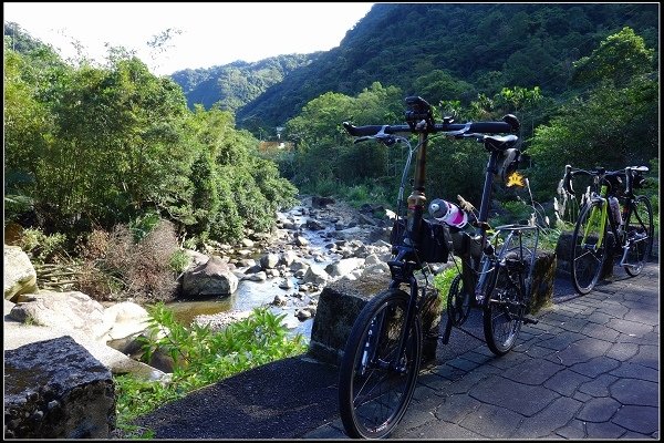 2013.12.08【單車遊記】新店《獅仔頭山》‧楓情萬種