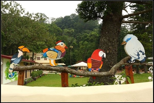 2013.10.12 楊梅《森林鳥花園》