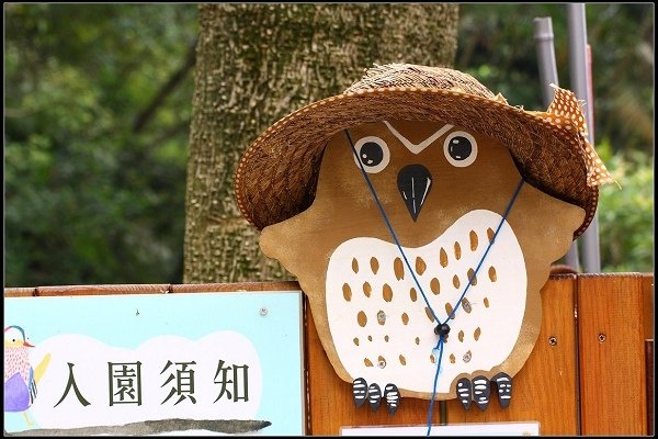 2013.10.12 楊梅《森林鳥花園》