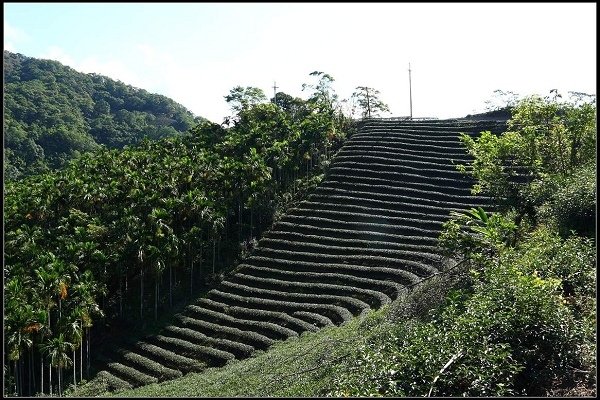 2013.09.07 初探《石碇‧千島湖》