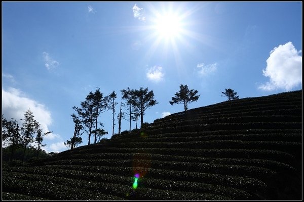 2013.09.07 初探《石碇‧千島湖》