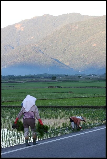 2013.08.06 東台灣五天四夜之旅 IV