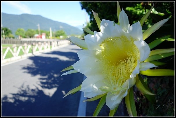 2013.08.06 東台灣五天四夜之旅 IV