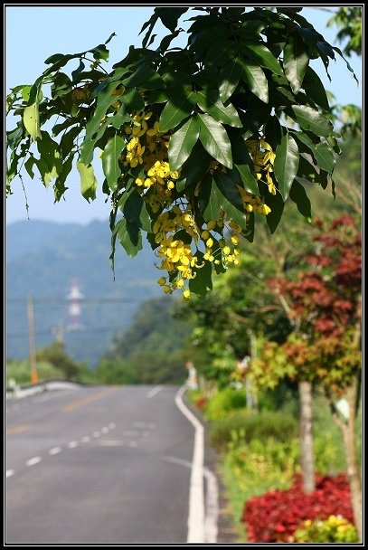 2012.06.23 雙溪拍荷