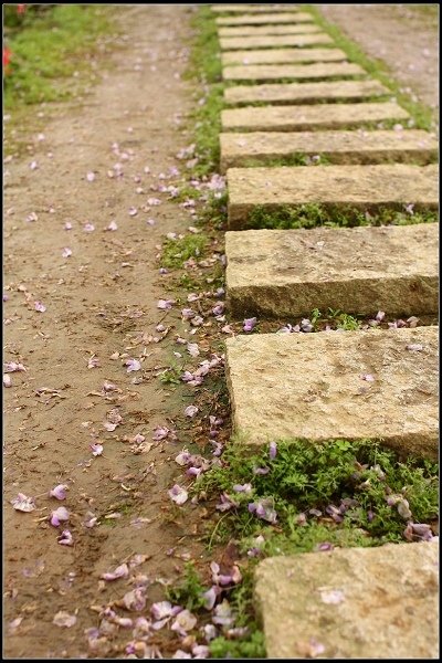 2013.03.30 淡水【紫藤花咖啡園】&amp;【得忌利士洋行】