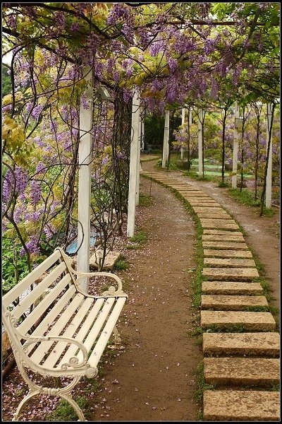 2013.03.30 淡水【紫藤花咖啡園】&amp;【得忌利士洋行】