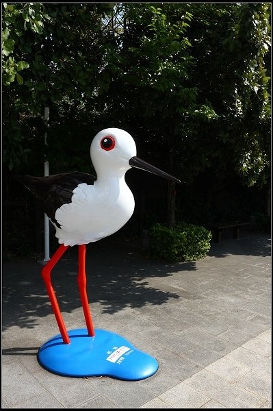 2013.03.16 走訪關渡自然公園