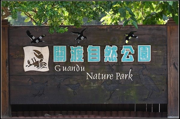 2013.03.16 走訪關渡自然公園