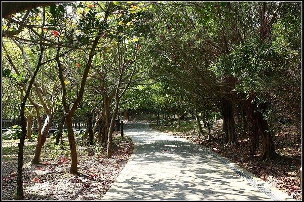 2013.03.16 走訪關渡自然公園