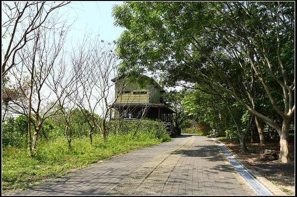 2013.03.16 走訪關渡自然公園