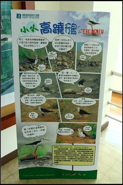 2013.03.16 走訪關渡自然公園