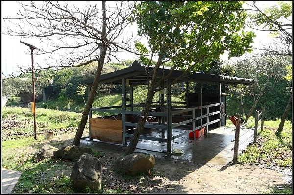 2013.03.16 走訪關渡自然公園