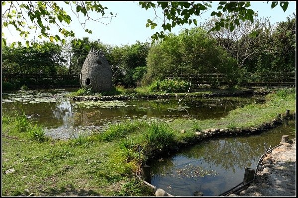 2013.03.16 走訪關渡自然公園