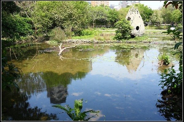 2013.03.16 走訪關渡自然公園
