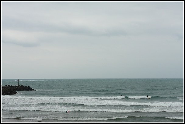 2013.03.03 寒風雨霧中的竹子湖