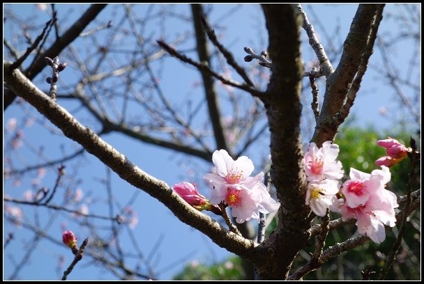 2013.02.28 《關渡&amp;忠義山親山步道》健行