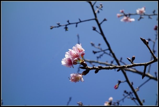 2013.02.28 《關渡&amp;忠義山親山步道》健行