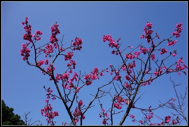 2013.02.28 《關渡&amp;忠義山親山步道》健行