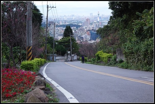 2013.02.03【單車遊記】《櫻》網打盡