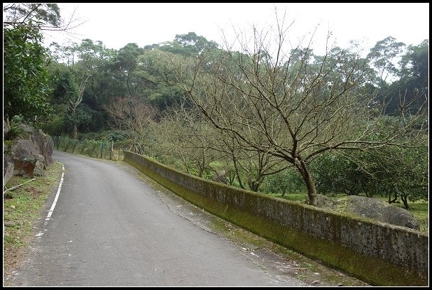 2013.02.03【單車遊記】《櫻》網打盡