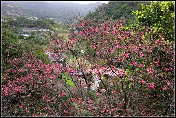 2013.01.26 內湖‧白石湖吊橋