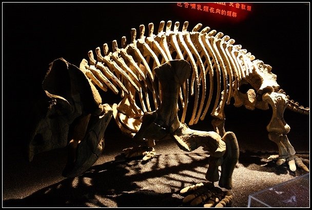 2012.08.18 中正紀念堂【地球最古老的恐龍展】