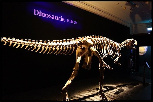 2012.08.18 中正紀念堂【地球最古老的恐龍展】