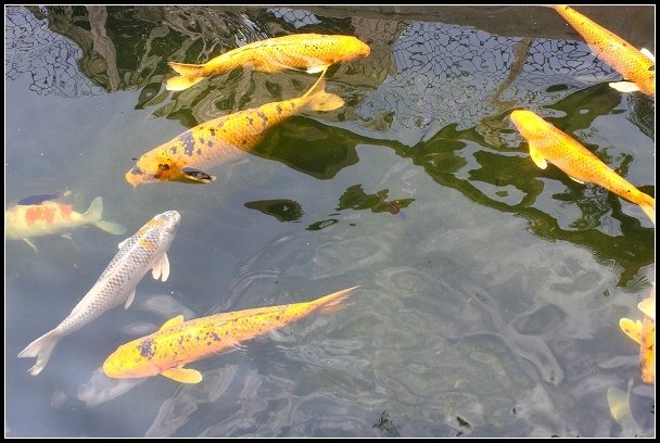 2012.08.05 新港板陶窯
