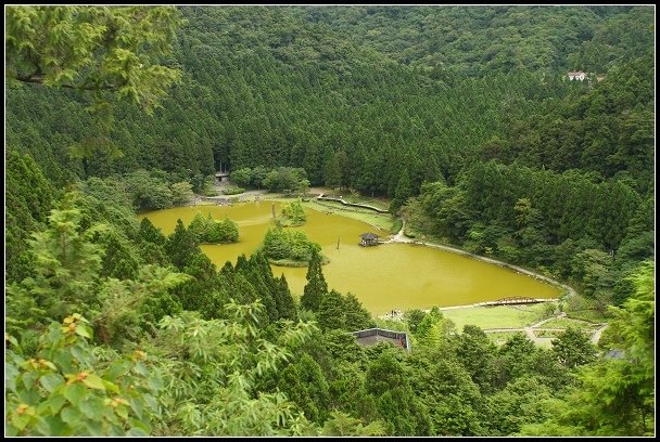 2012.07.29 明池國家森林遊樂區