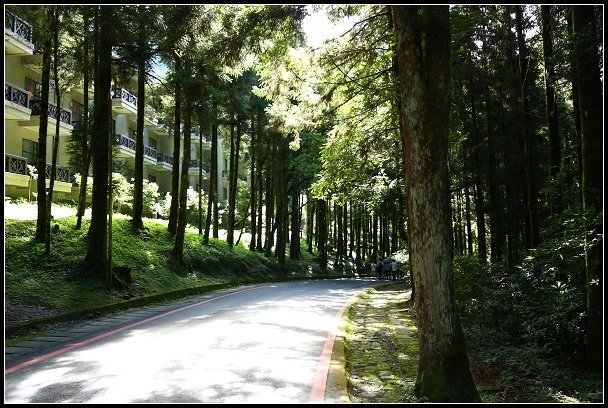 2012.07.29 明池國家森林遊樂區