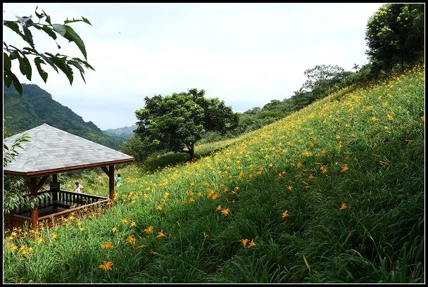 2012.06.23 新社【沐心泉休閒農場】