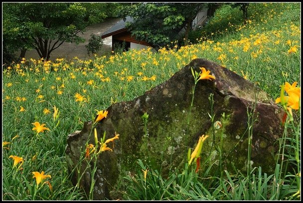 2012.06.23 新社【沐心泉休閒農場】