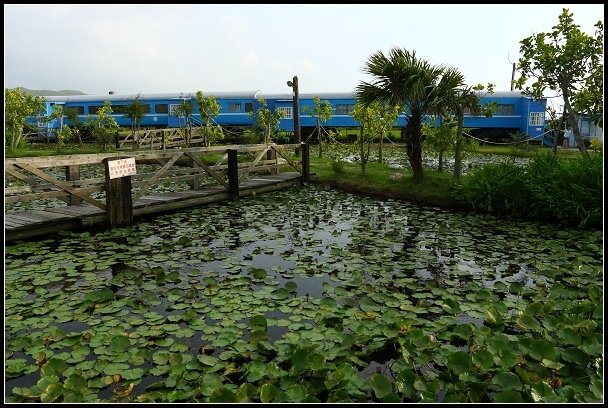 2012.06.23 新社【沐心泉休閒農場】