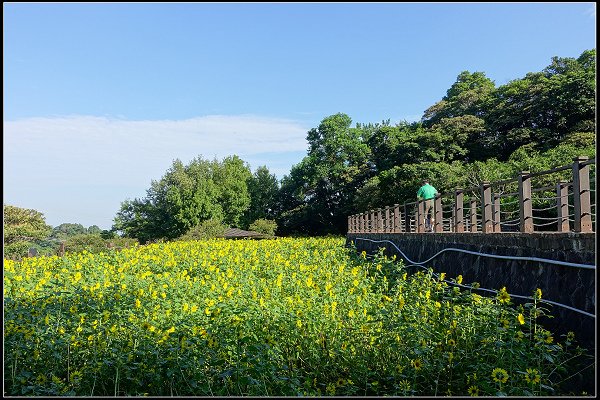 2023.09.17 【單車遊記】木柵貓空 樟樹步道 ‧ 向