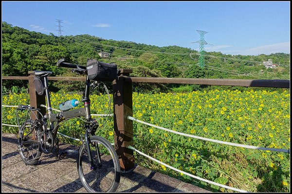 2023.09.17 【單車遊記】木柵貓空 樟樹步道 ‧ 向