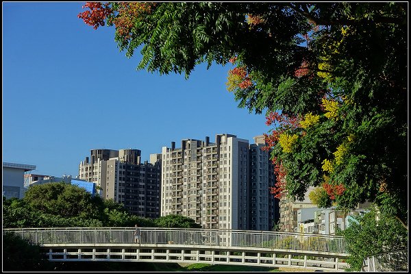 2023.09.30 【單車遊記】桃園 ‧ 老街溪自行車道