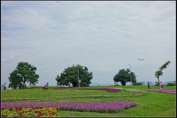 2023.10.15 大直美堤河濱公園花海