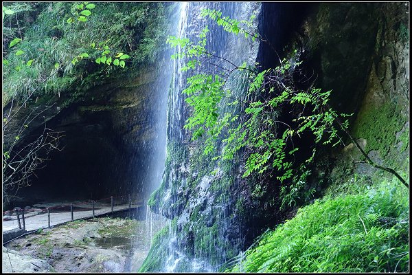 2023.11.04 南投竹山 ‧ 杉林溪森林遊樂區