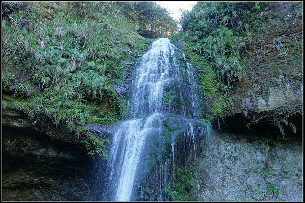 2023.11.04 南投竹山 ‧ 杉林溪森林遊樂區