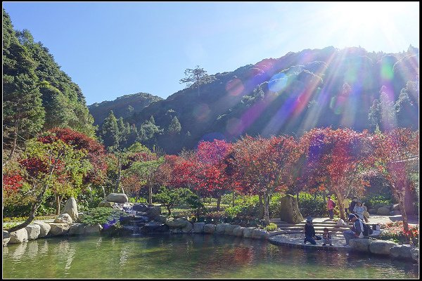 2023.11.04 南投竹山 ‧ 杉林溪森林遊樂區