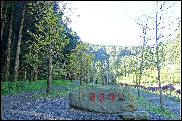 2023.11.04 南投竹山 ‧ 杉林溪森林遊樂區