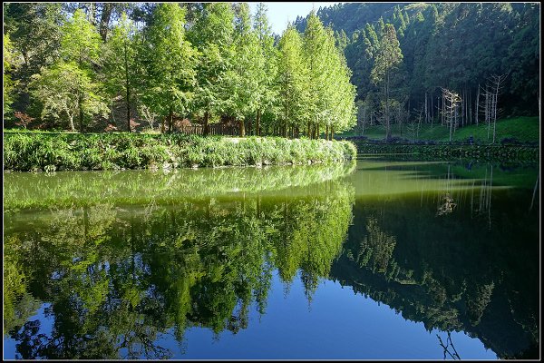 2023.11.04 南投竹山 ‧ 杉林溪森林遊樂區