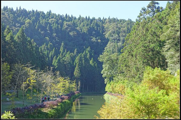 2023.11.04 南投竹山 ‧ 杉林溪森林遊樂區