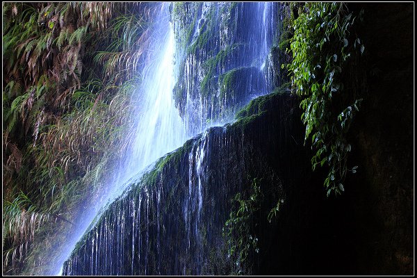 2023.11.04 南投竹山 ‧ 杉林溪森林遊樂區