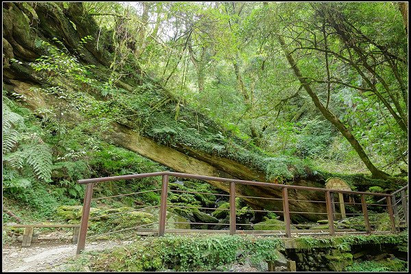 2023.11.20 桃園復興 ‧ 拉拉山森林遊樂區