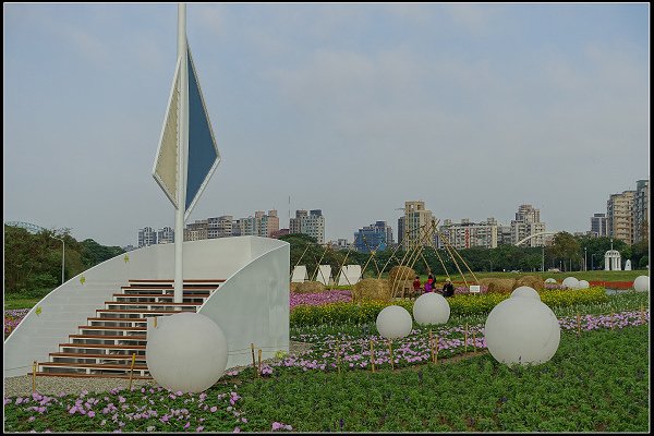 2024.01.06 台北市古亭河濱公園花海