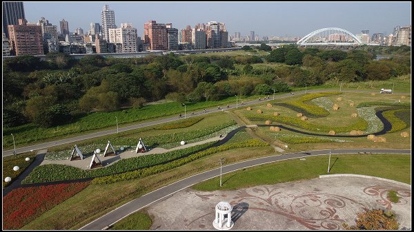 2024.01.06 台北市古亭河濱公園花海