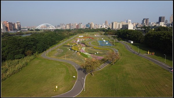 2024.01.06 台北市古亭河濱公園花海