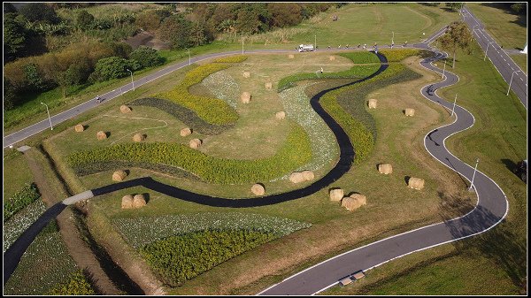 2024.01.06 台北市古亭河濱公園花海