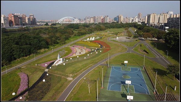 2024.01.06 台北市古亭河濱公園花海